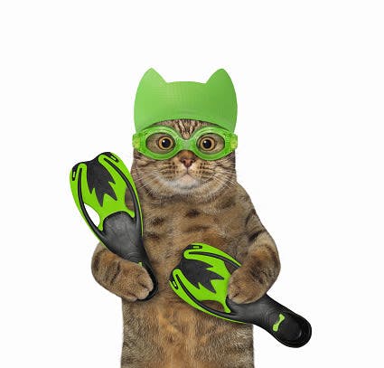 a cat in a green hat and goggles holding a paddle