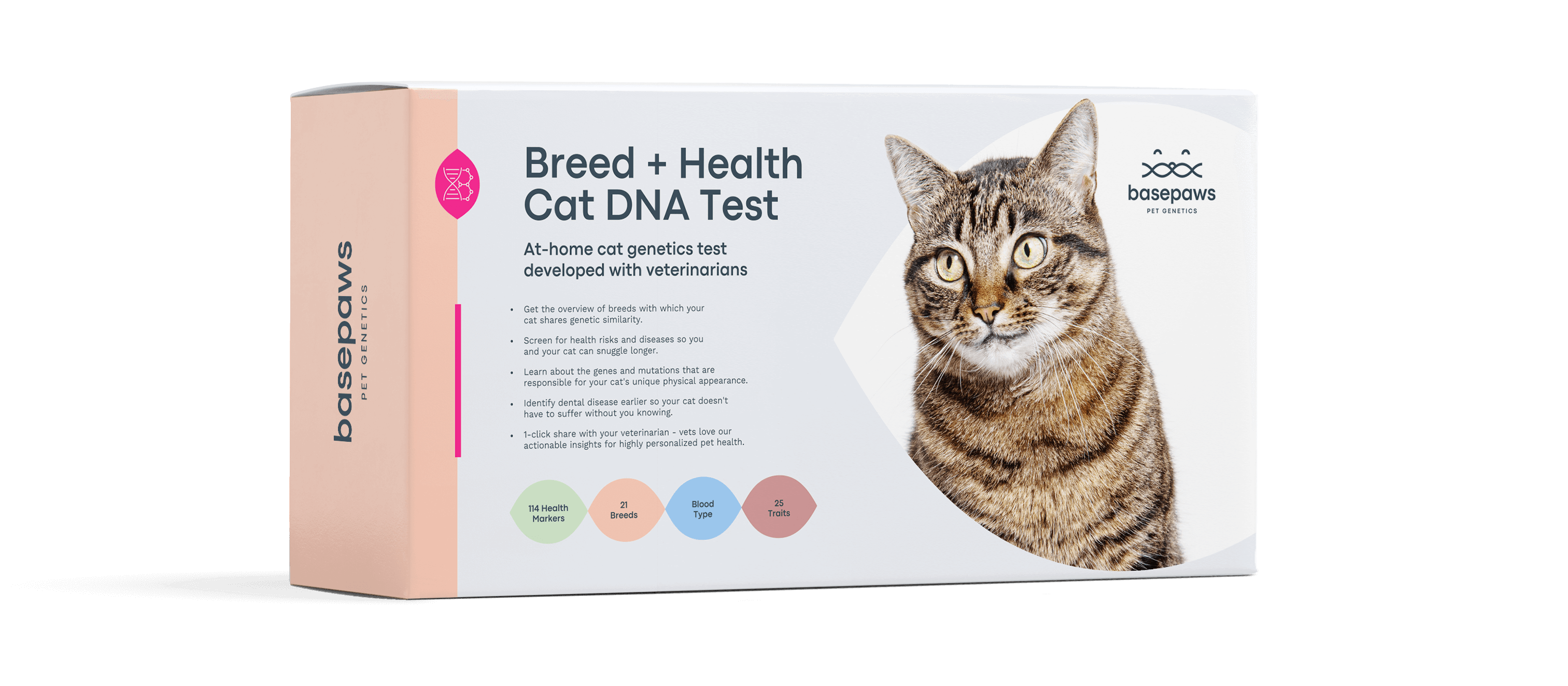 Cat - Breeds + Health DNA Test
