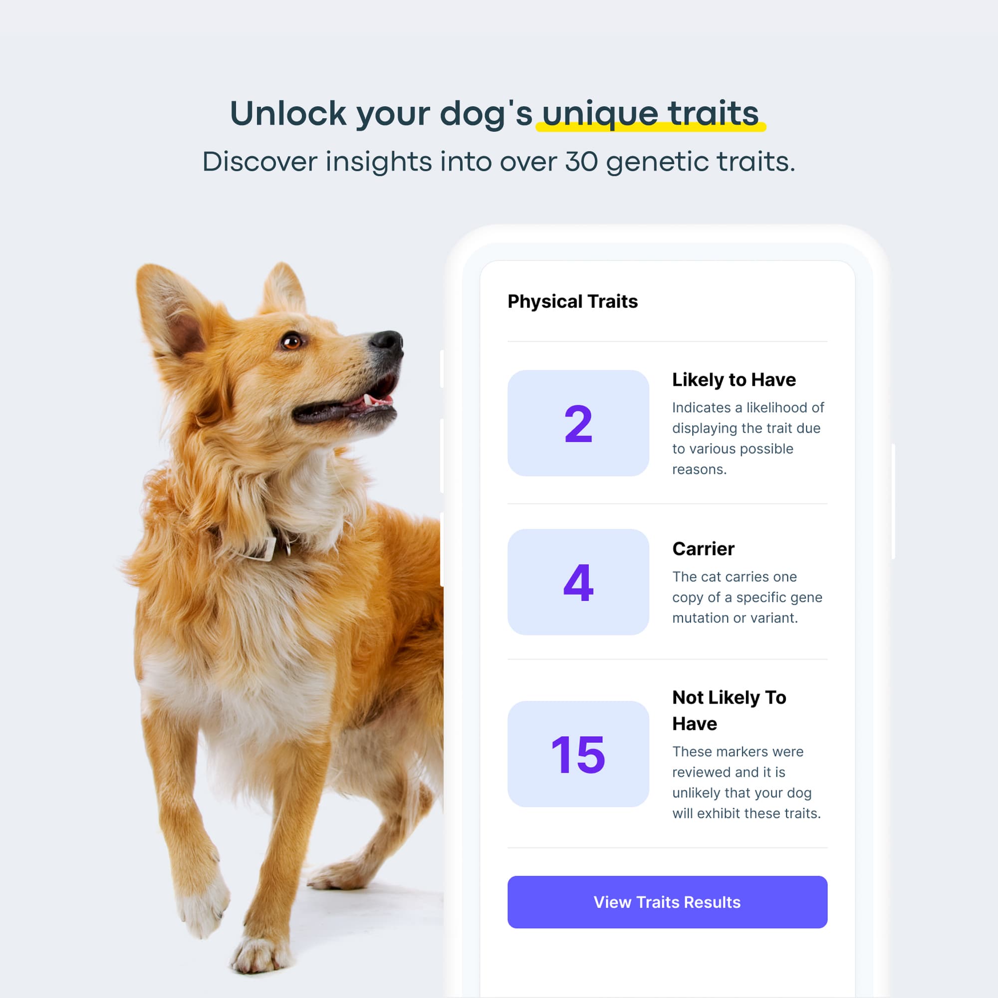 dog dna testing trait results