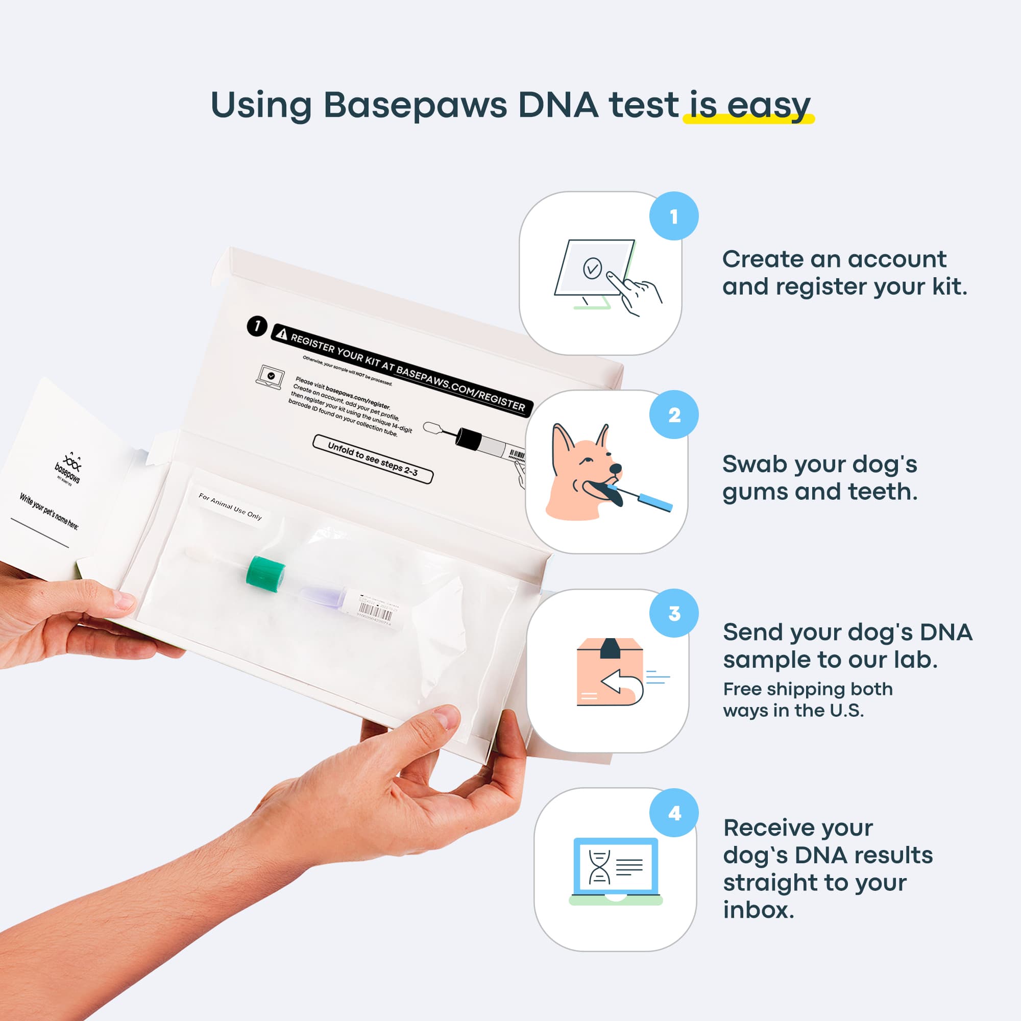 how do dog dna tests work