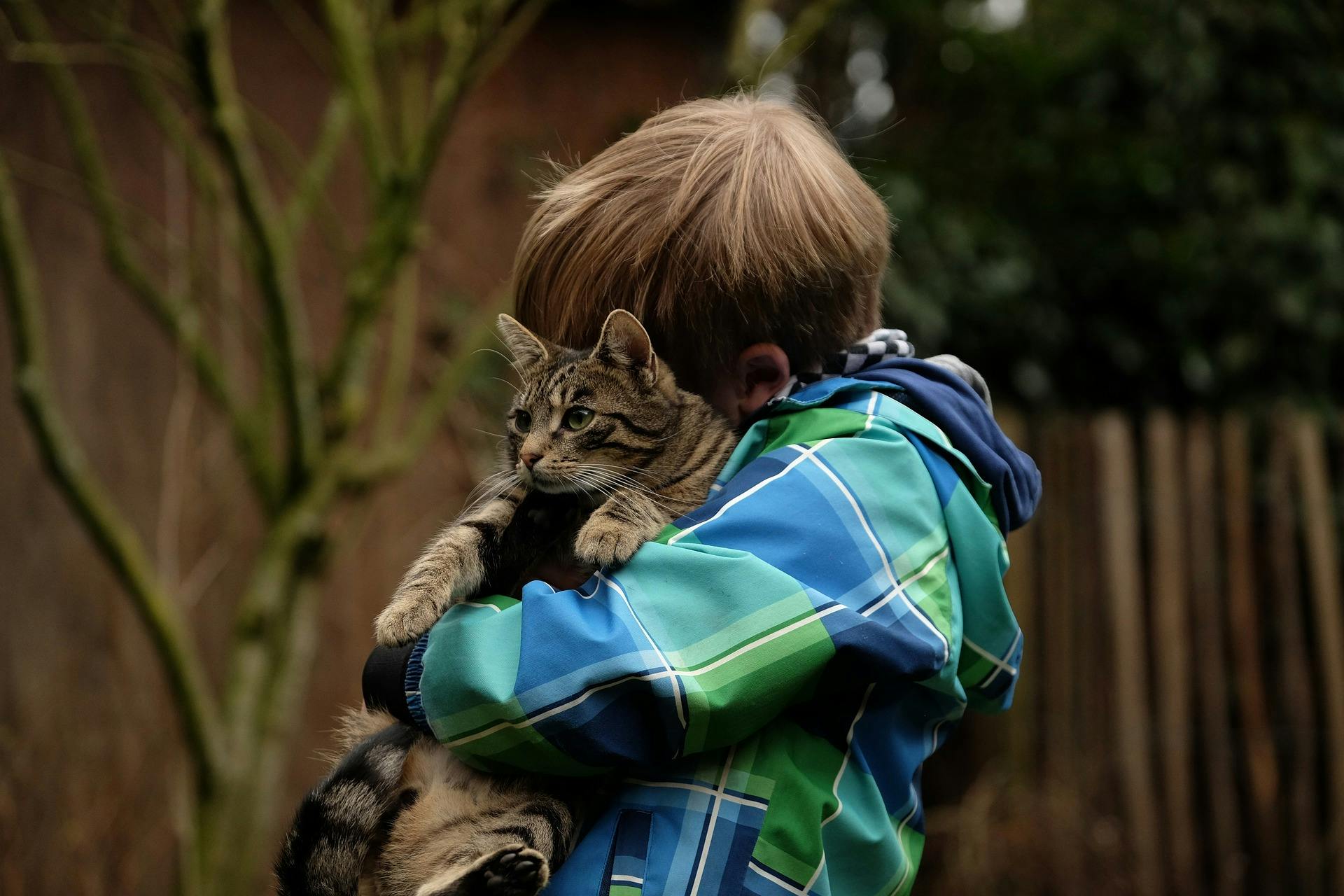 Cats Cuddling: Celebrating International Hug Your Cat Day