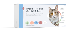 BP box refresh 3d cat DNA