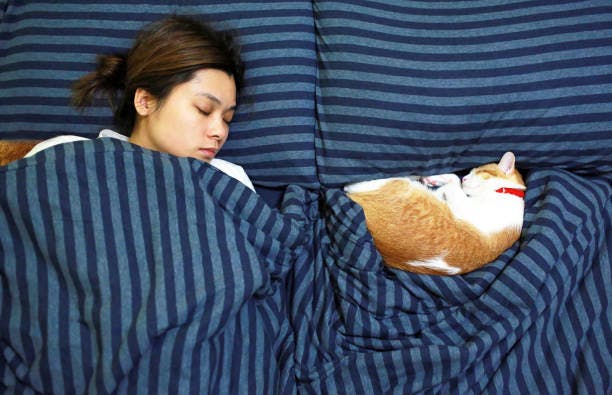 a woman sleeping on a couch with a cat