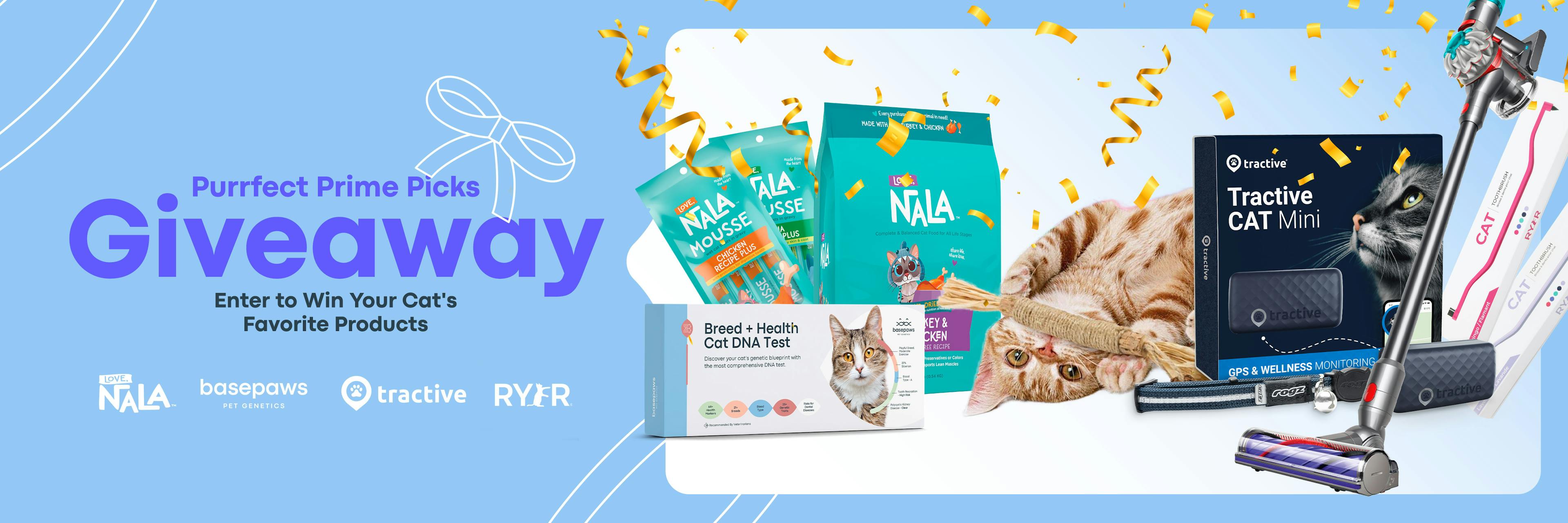 A Purrfect Prime Day Giveaway!