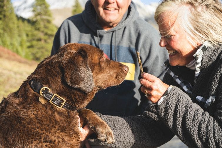 a man and a woman petting a brown dog