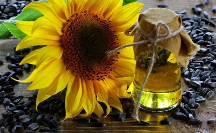 a bottle of sunflower oil next to a sunflower