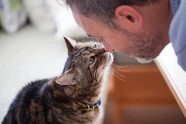 a close up of a person kissing a cat