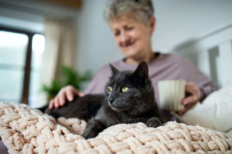 a woman sitting on a bed with a black cat