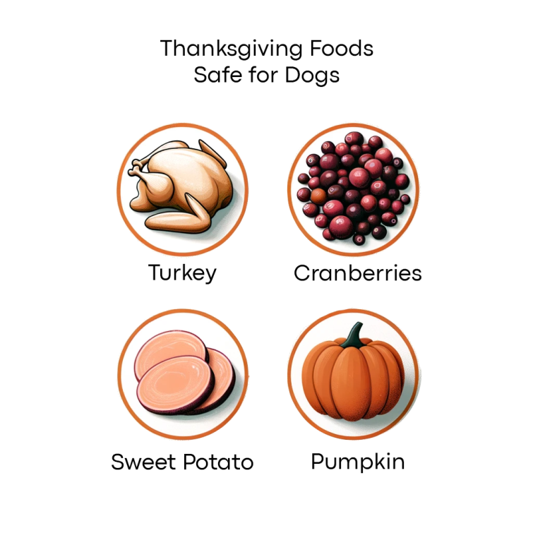 Thanksgiving Foods Your Dog Can and Can't Eat