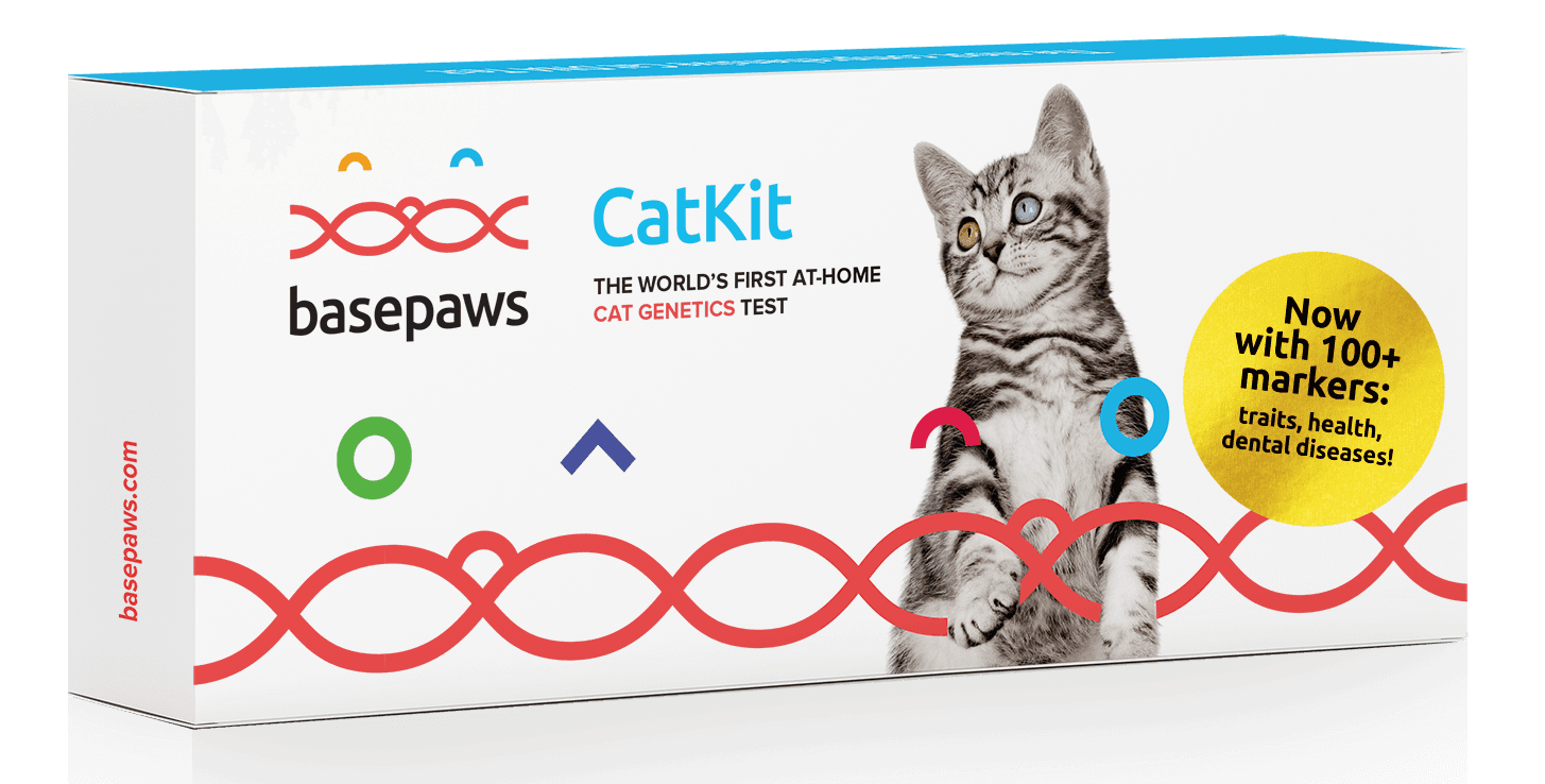 Basepaws Updates its Breed + Health Cat DNA Test