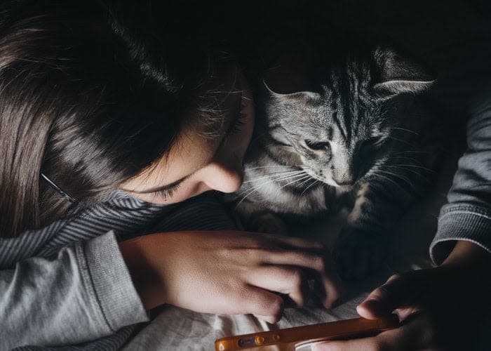 a woman is looking at a cell phone with a cat nearby