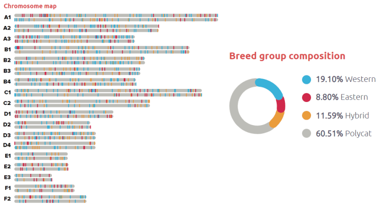 a bar chart shows the percentage of people who are using the internet