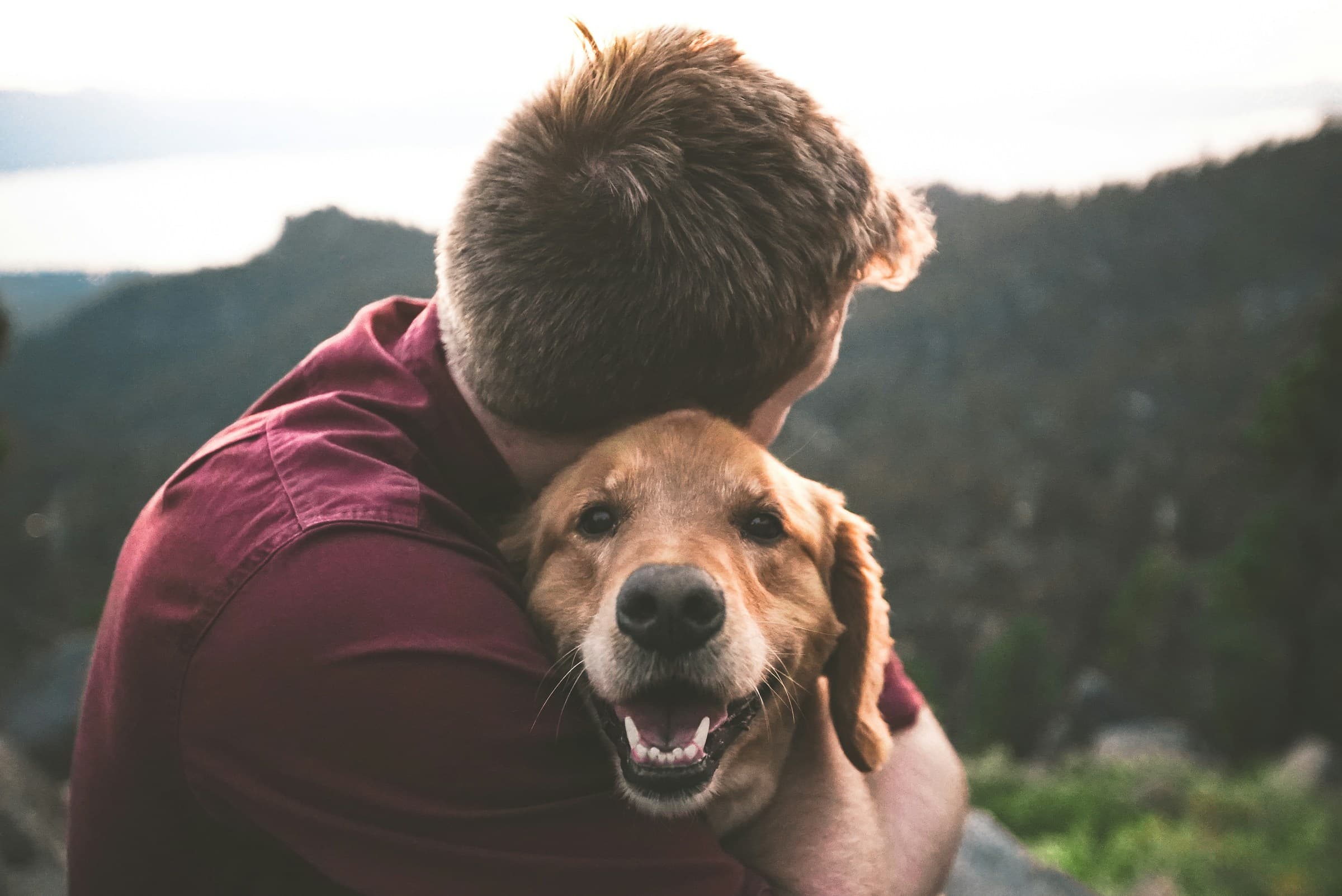 Emotional Support Dog Training