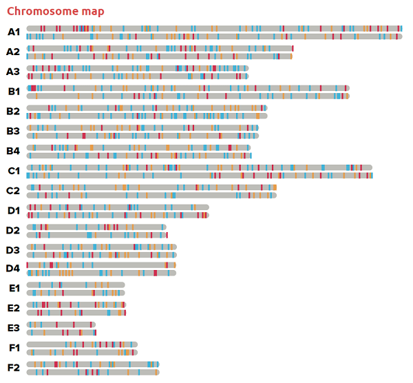 a bar chart showing the number of chromosomes in cats