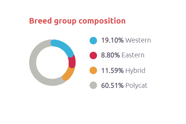 a pie chart showing the percentage of bread group composition