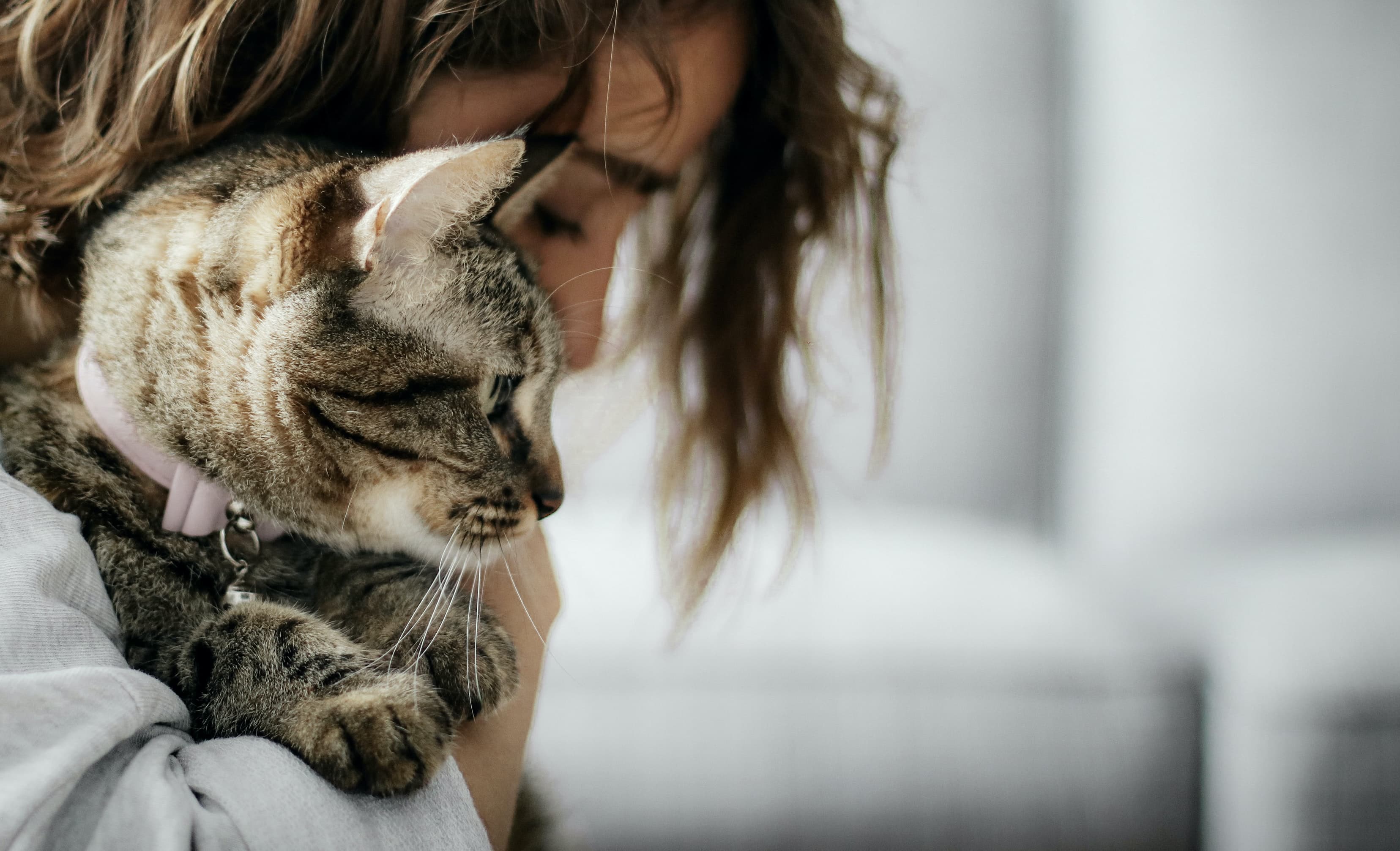 a woman holding a cat in her arms