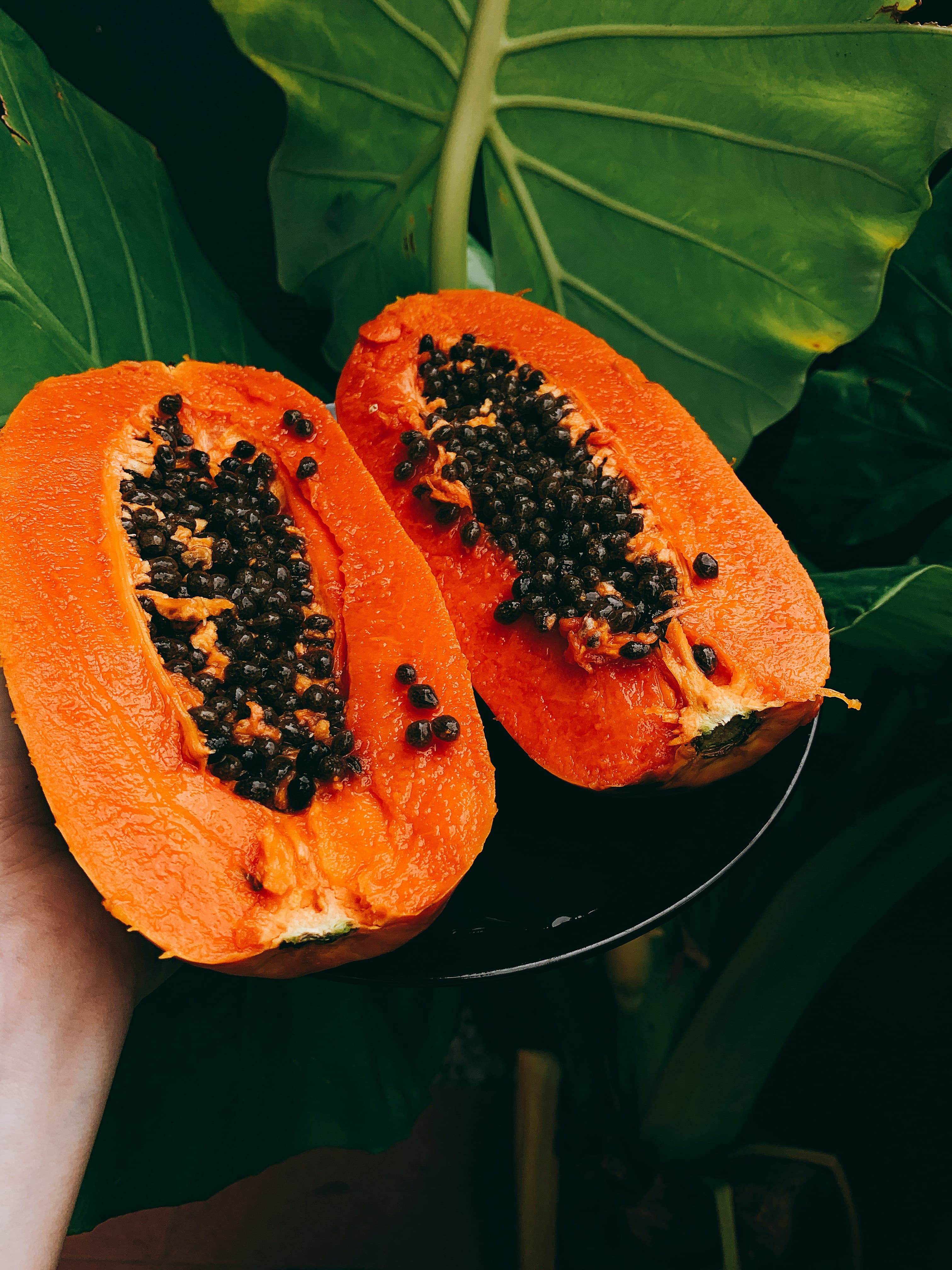 Can Dogs Eat Papaya?