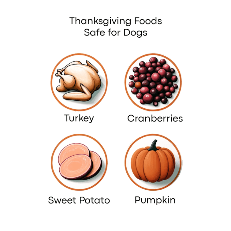 a picture of thanksgiving foods that are safe for dogs