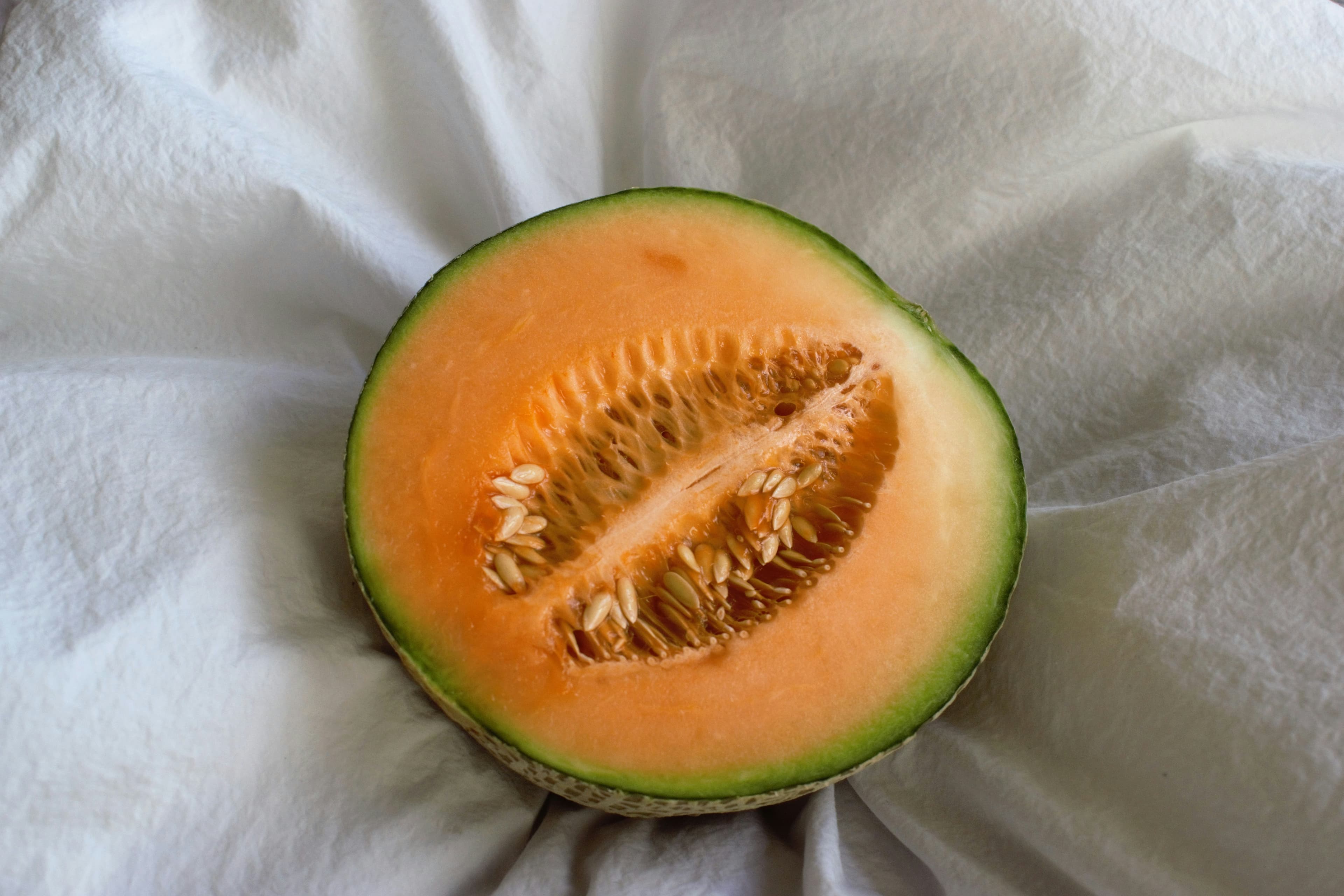 Can Dogs Eat Cantaloupe?