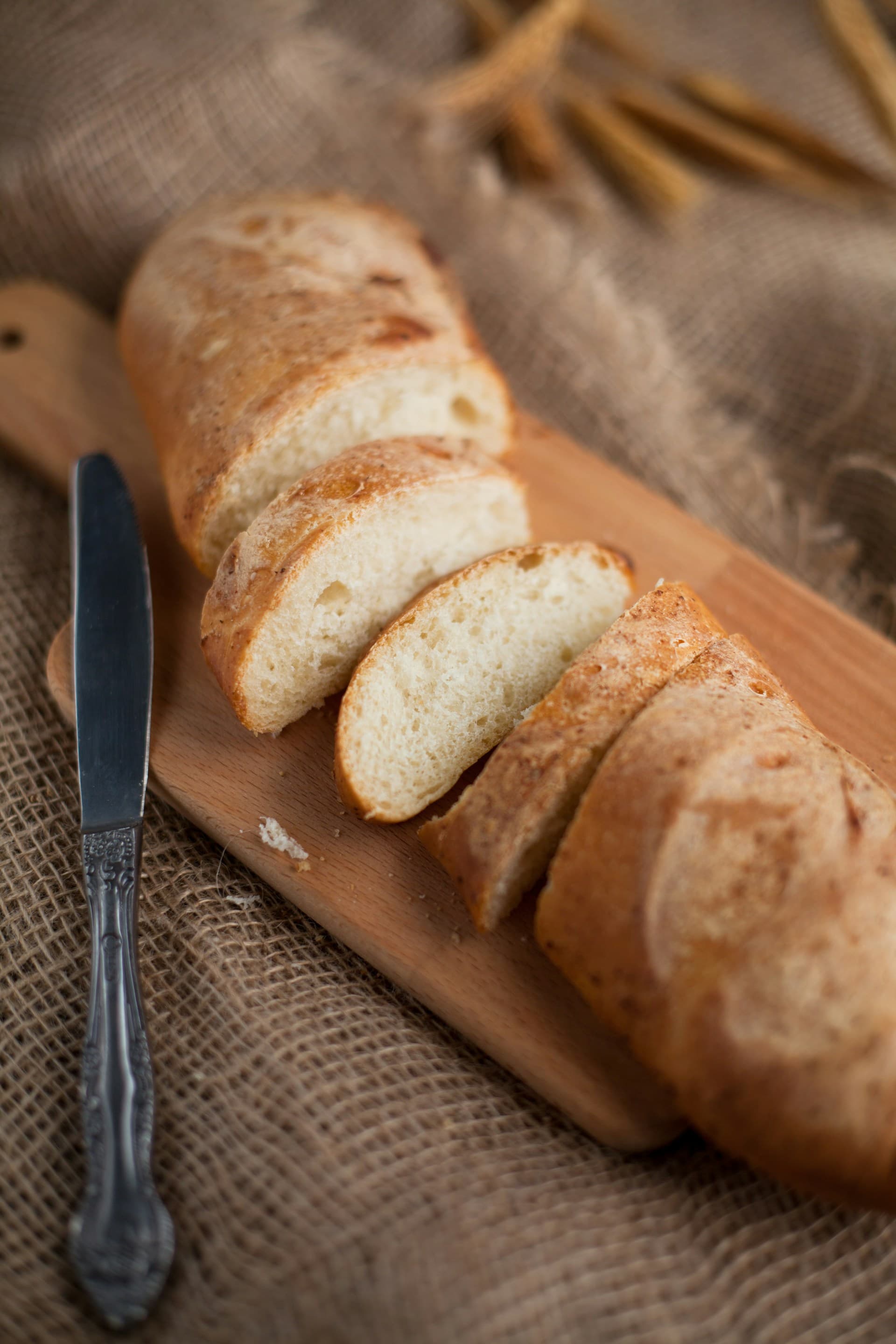 Can Dogs Eat Bread?