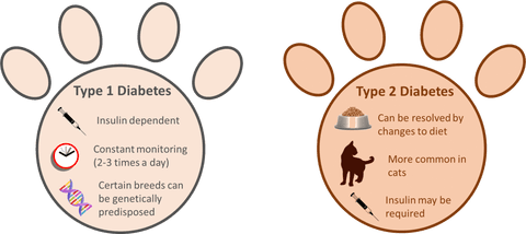 a dog's paw and a cat's paw with diabets