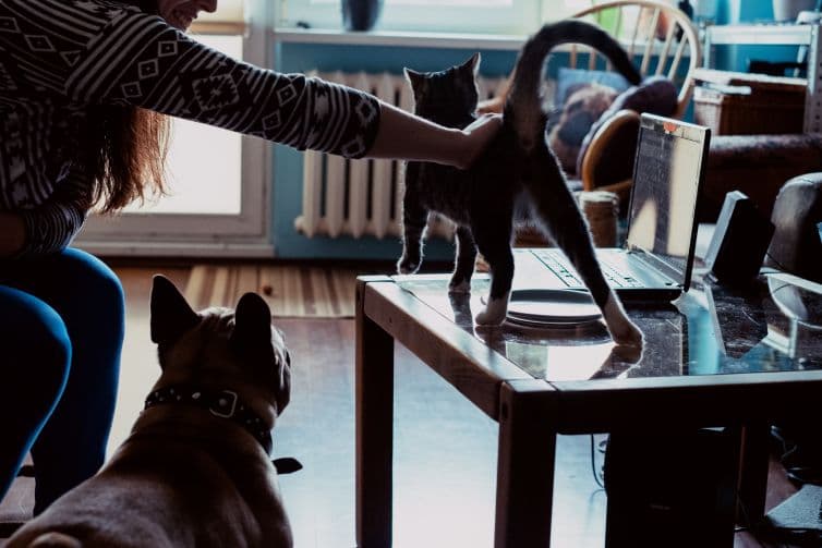 a woman petting a cat sitting on a table