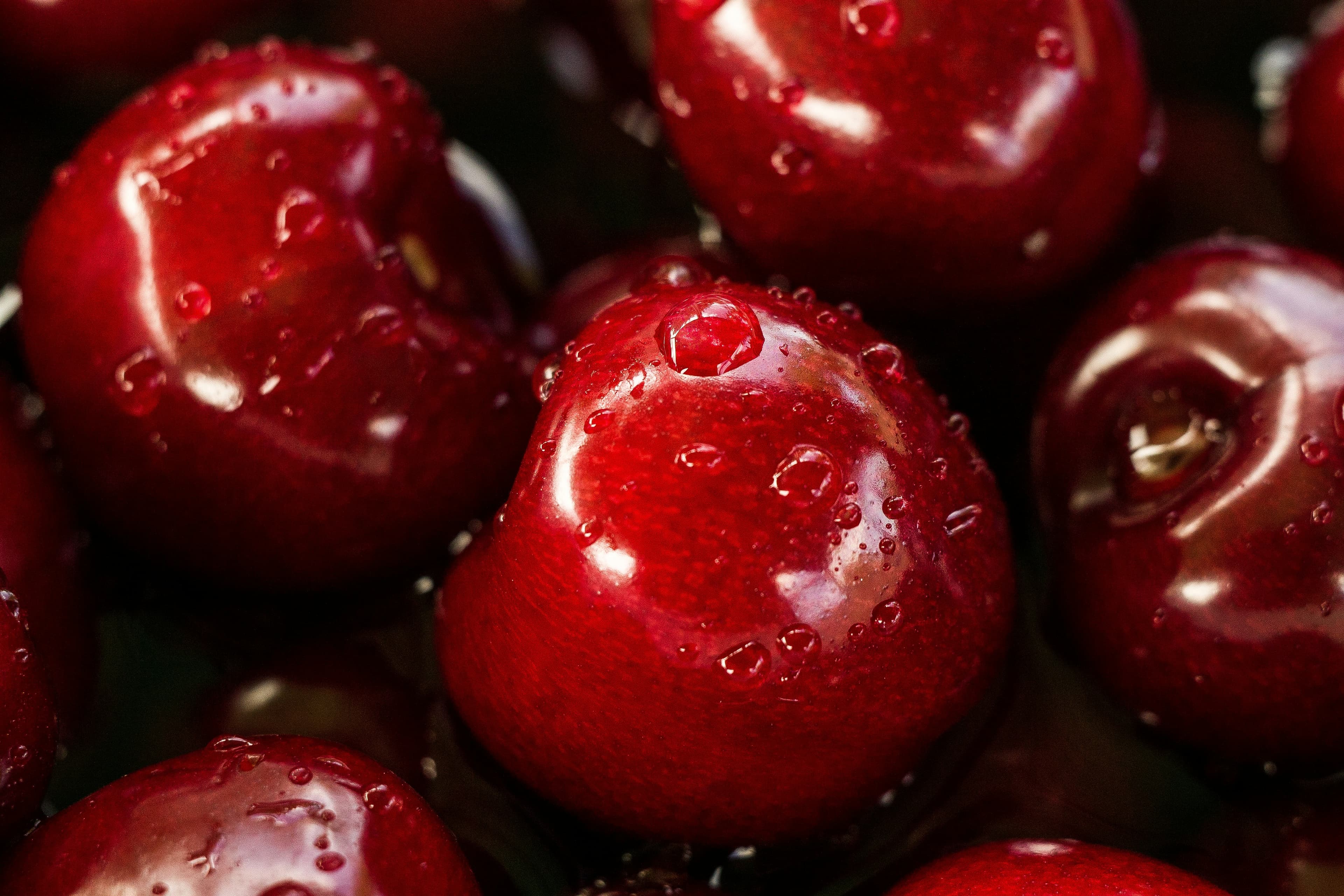 Can Dogs Eat Cherries?