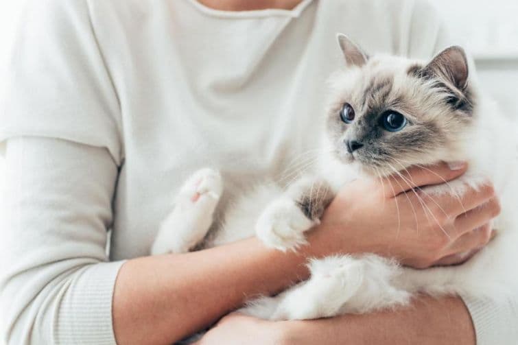 a woman holding a cat in her arms