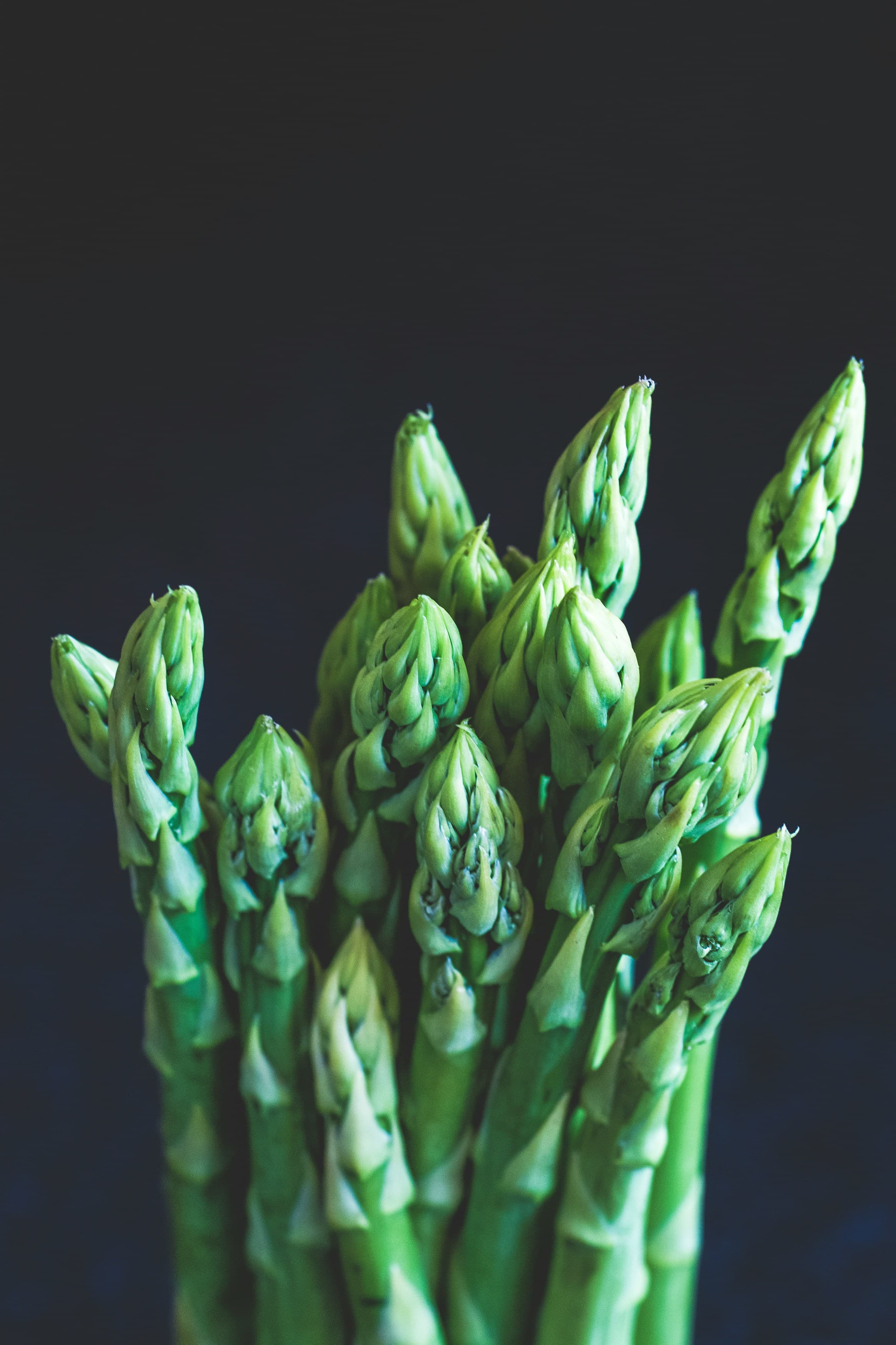 Can Dogs Eat Asparagus?