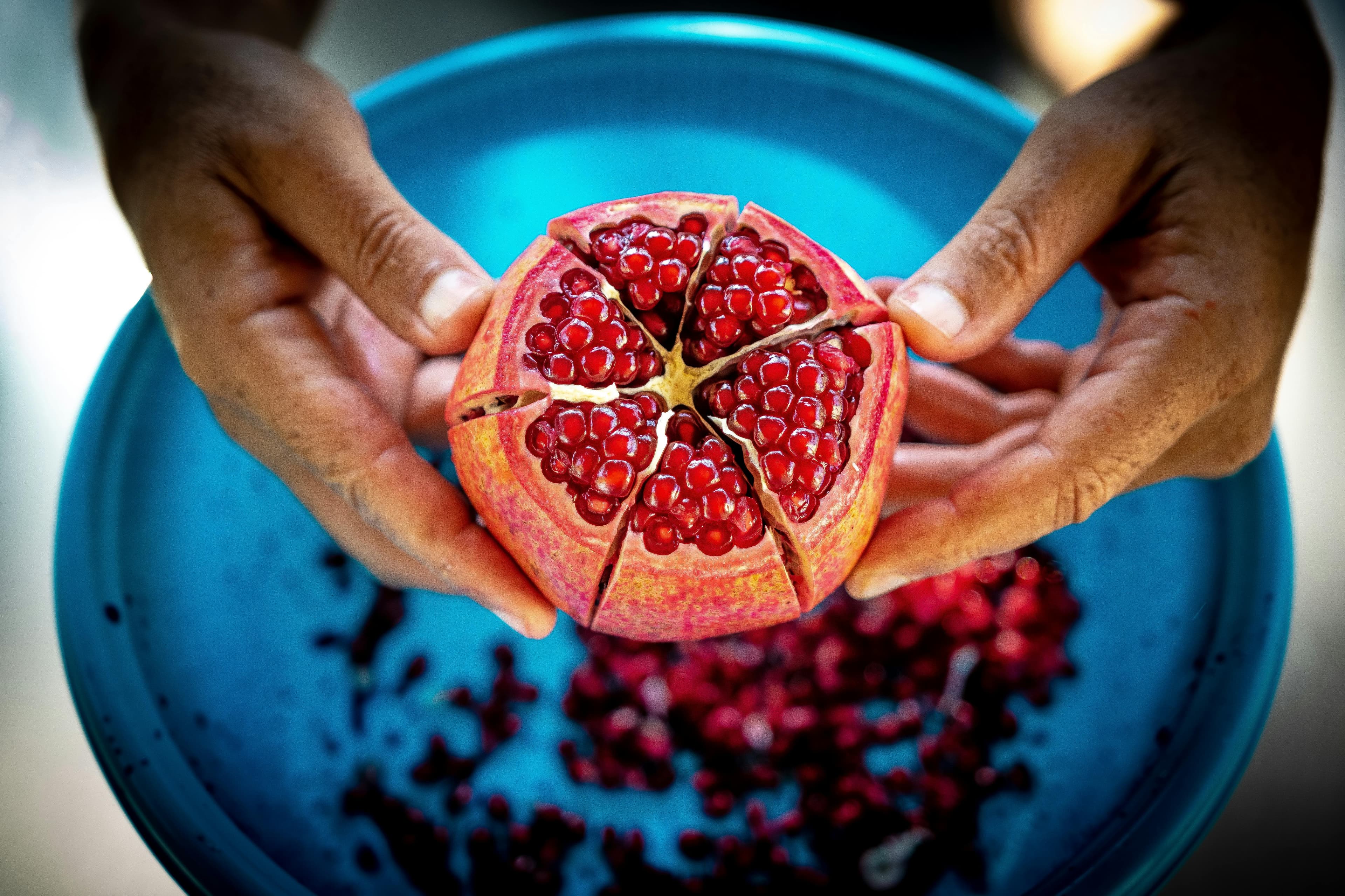 Can Dogs Eat Pomegranate?