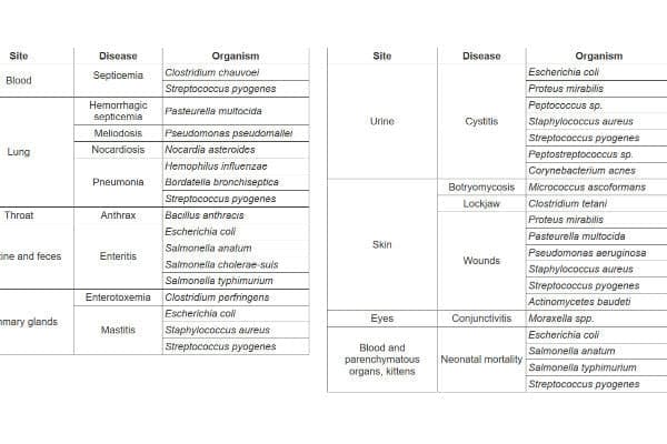 a table with a number of different types of medications