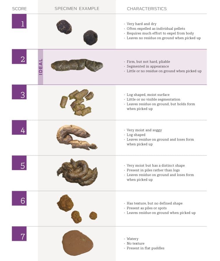 a table with a number of different types of rocks