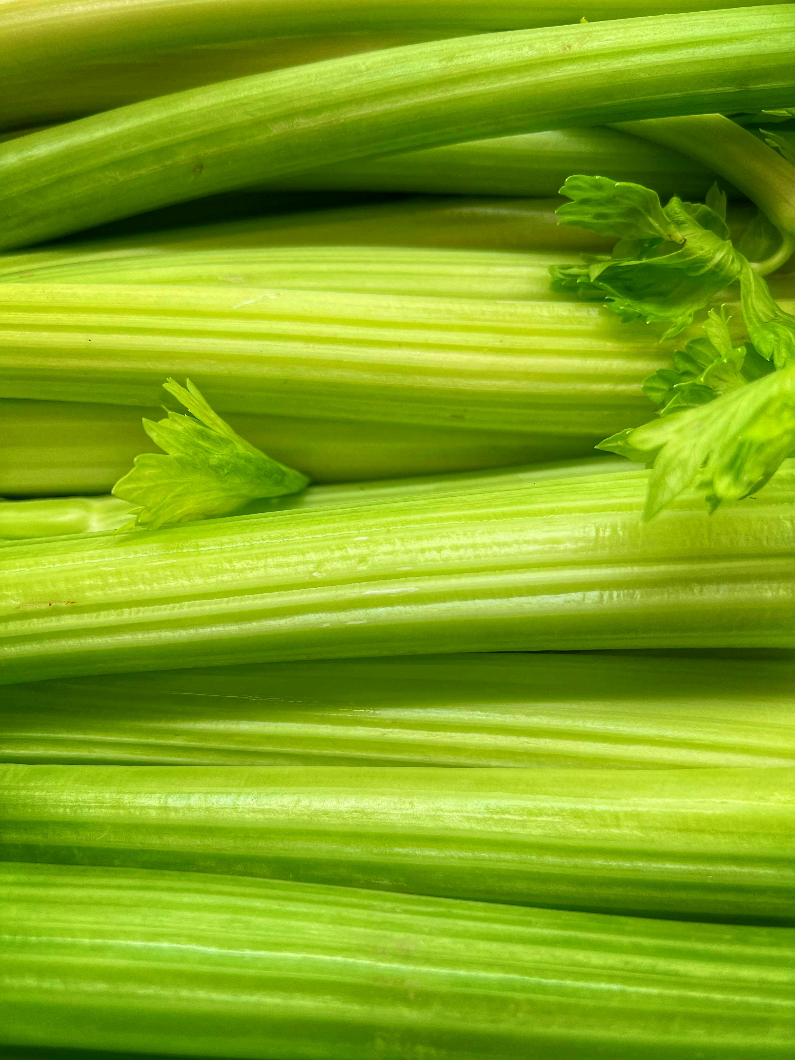 Can Dogs Eat Celery?