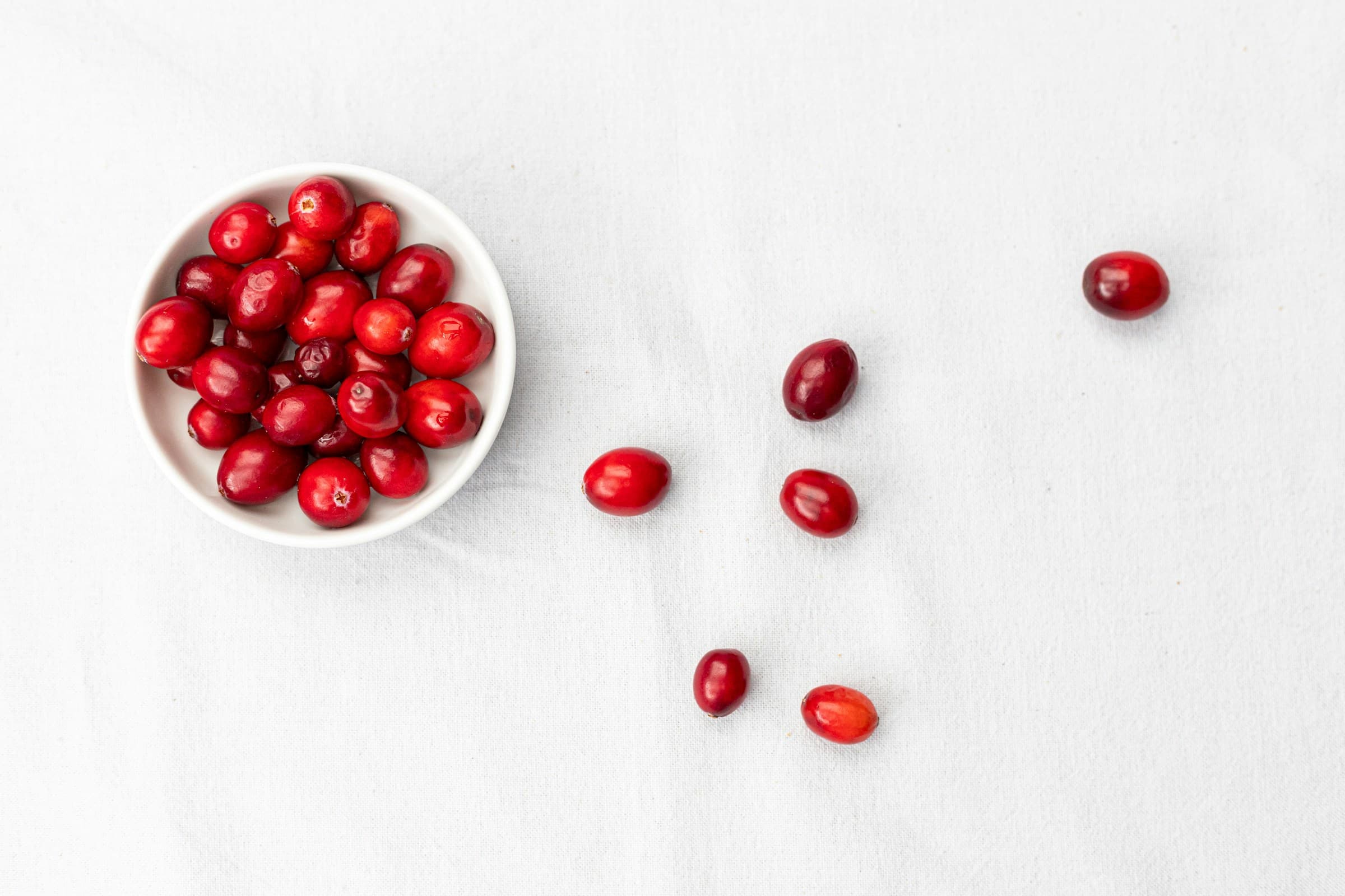 Can Dogs Eat Cranberries?