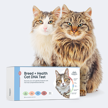 two cats with dna tests