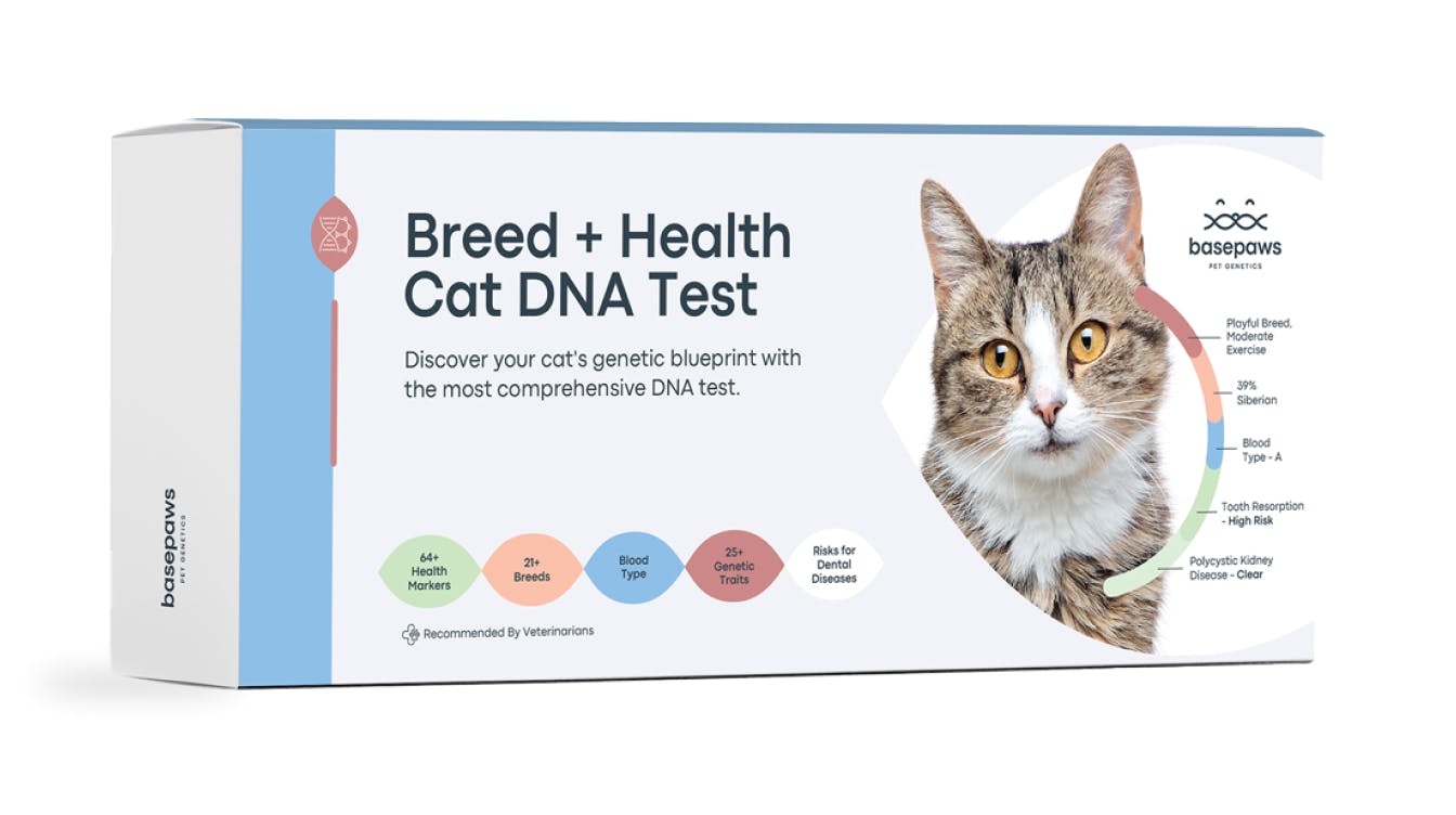 basepaws-product-cats-breeds health