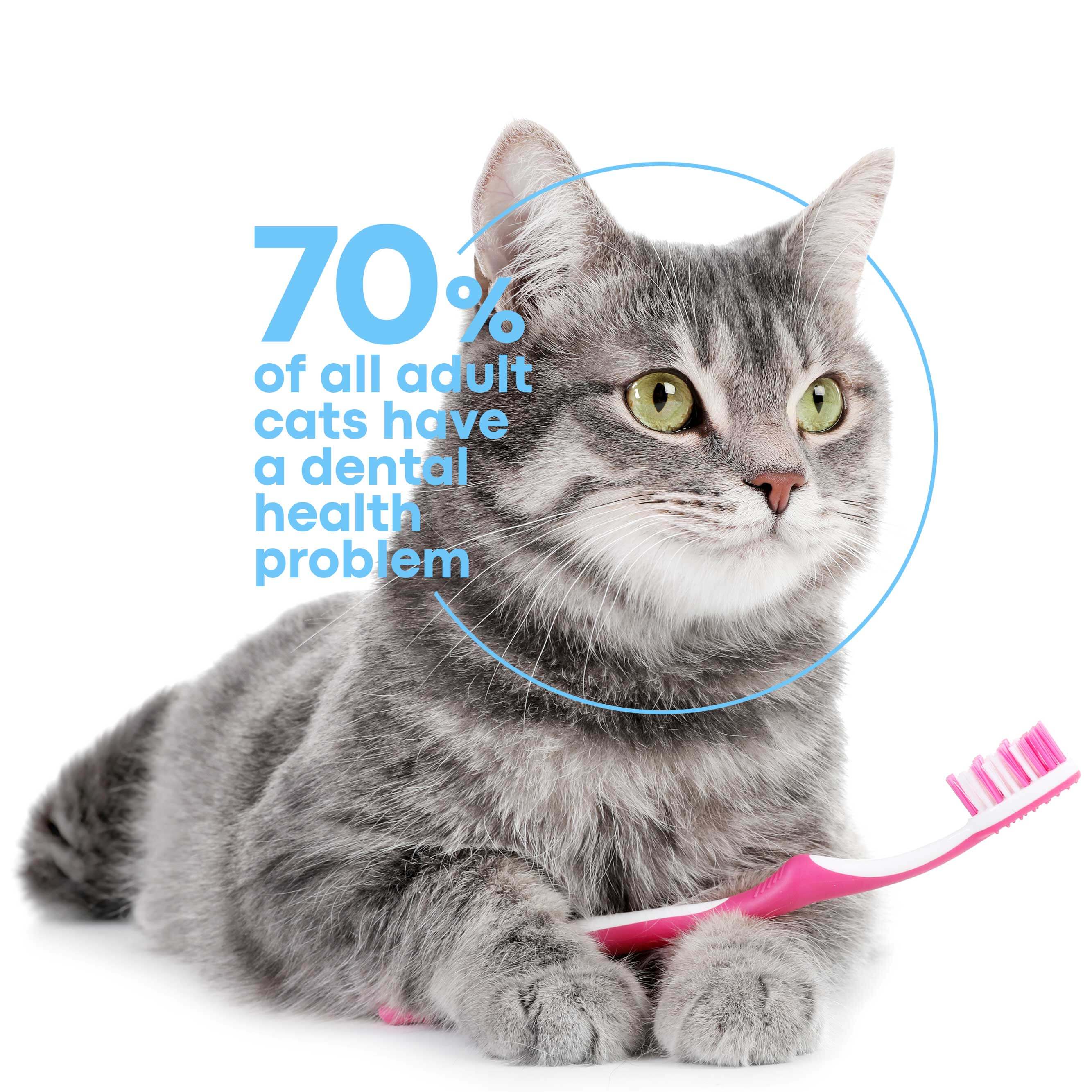 38f097923eeb8313cd88f734aeb5ddf5 (1)