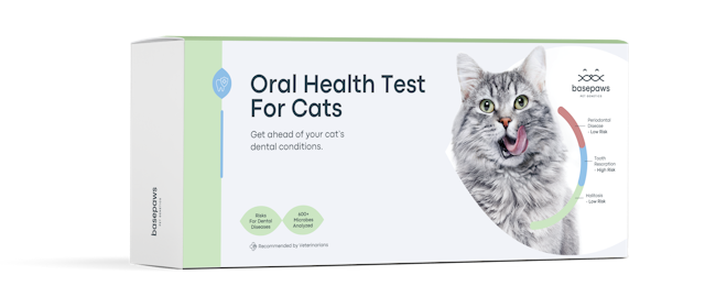 IMG New Packaging Oral Test For Cats