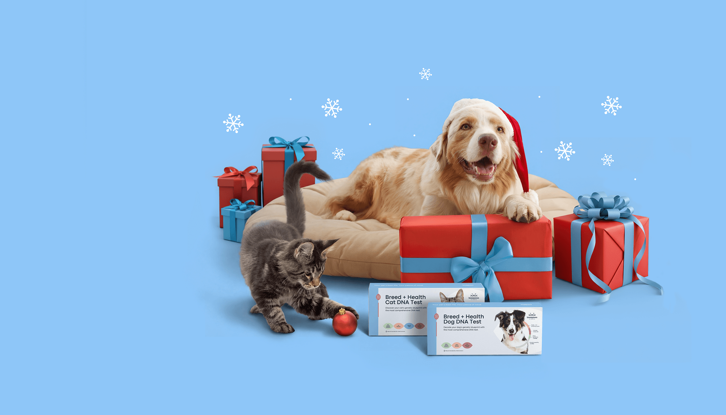 BP hero december 2400x1372