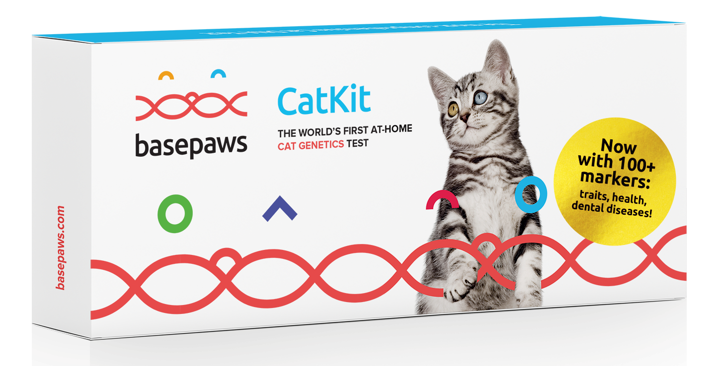 Basepaws Updates its Breed + Health Cat DNA Test