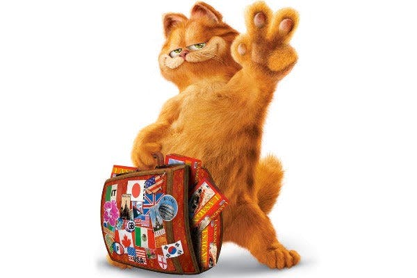 an orange cat sitting on top of a suitcase