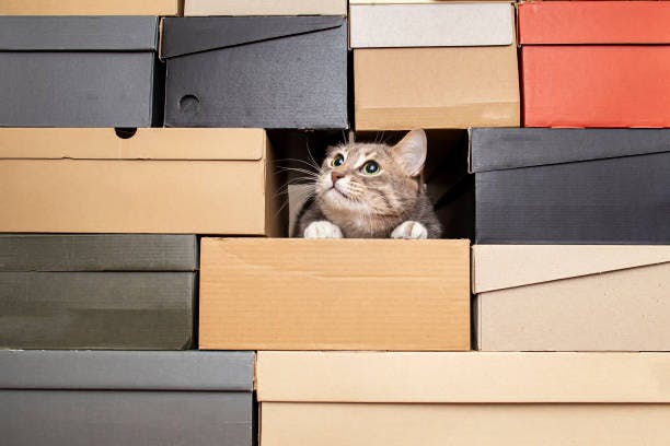 a cat peeking out of a pile of boxes