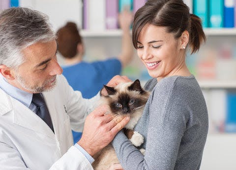 a woman holding a cat in a doctor's office