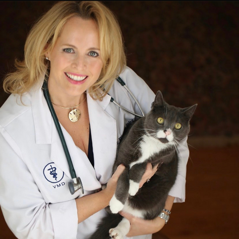 a woman in a white lab coat holding a black and white cat