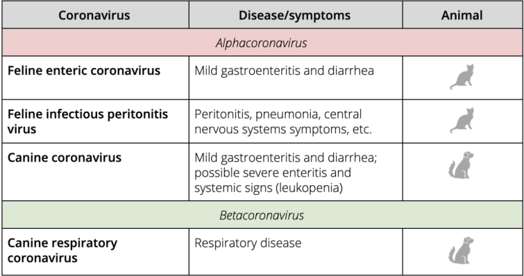 Pet coronavirus infections of veterinary significance (informed by Fenner’s Veterinary Virology ).