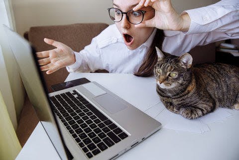 a woman sitting in front of a laptop with a cat on her lap