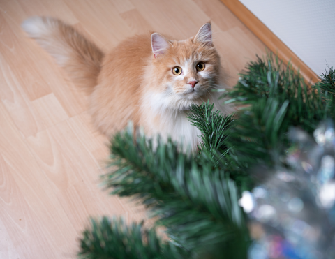 a cat sitting on the floor next to a christmas tree