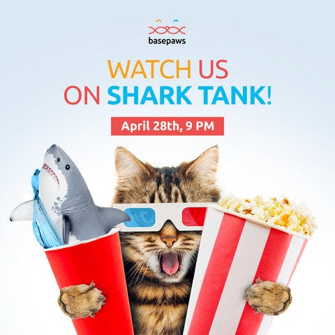 a cat is holding a bucket of popcorn and a shark
