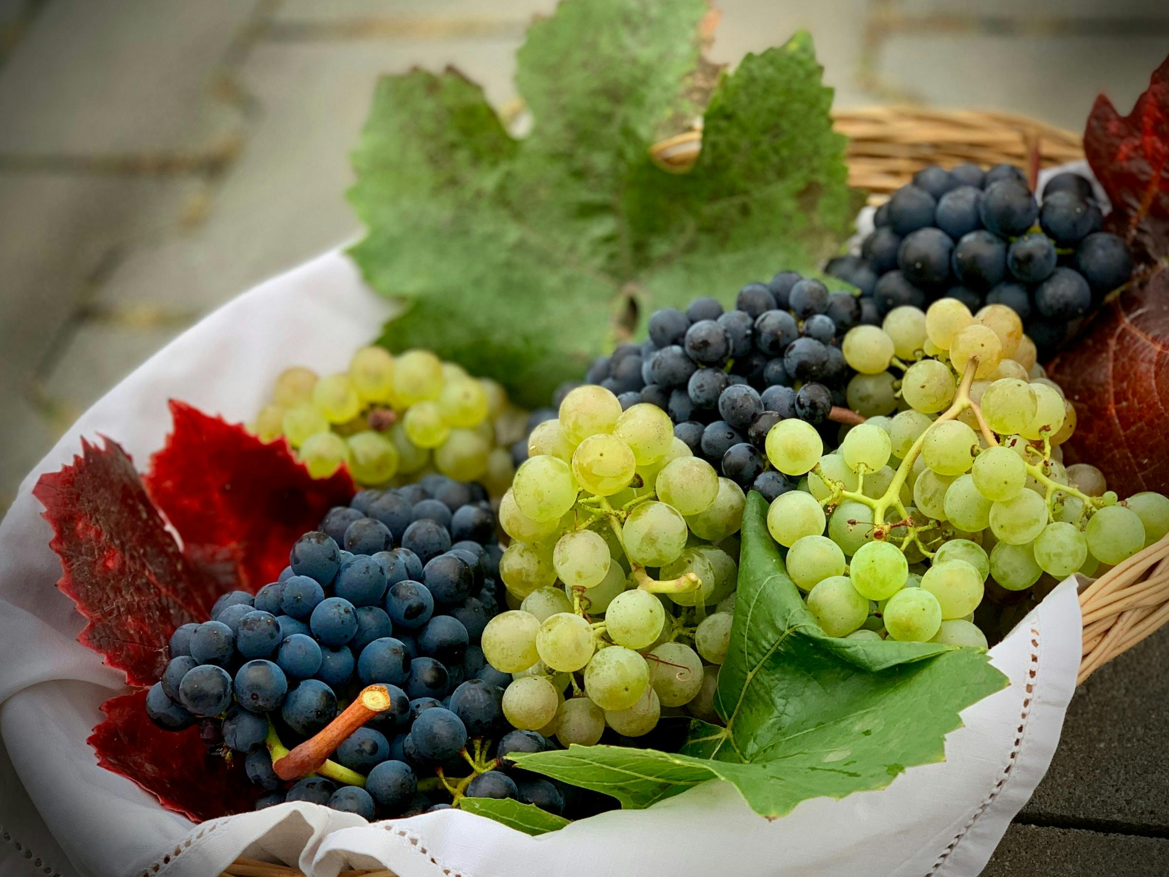 Can Dogs Eat Grapes? Understanding the Dangers and Actions to Take