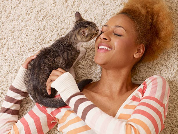 Do cats love their owners?